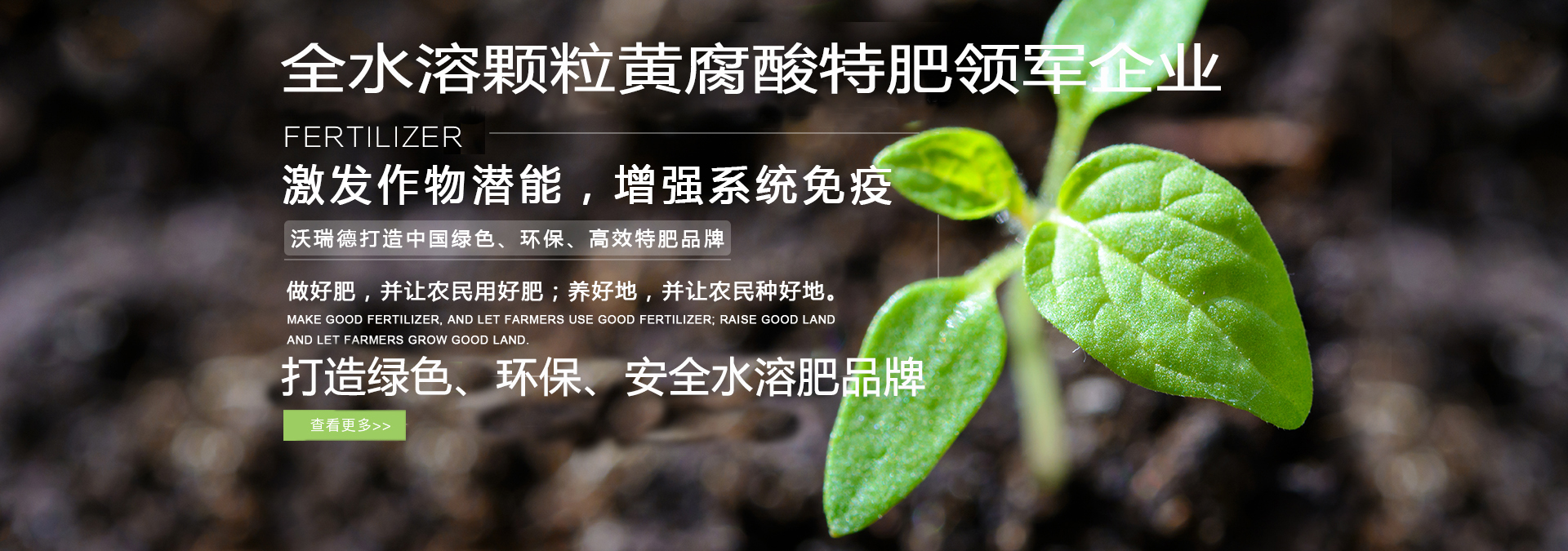 黄腐酸颗粒水溶肥